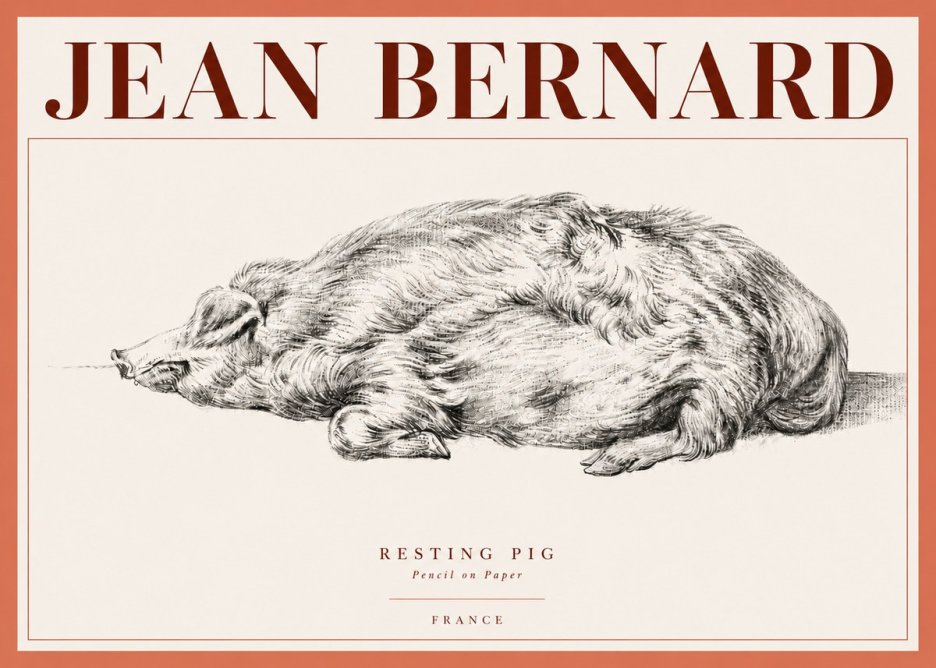 Jean Bernard Resting Pig II No4 - Plakát