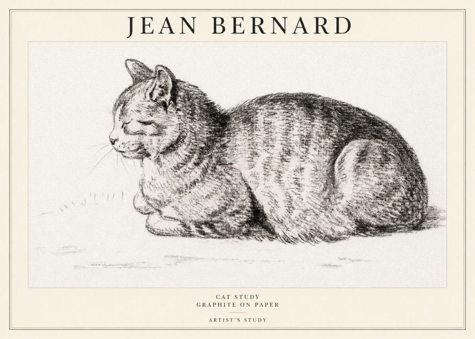 Jean Bernard Cat Study XII No1 - Plakát