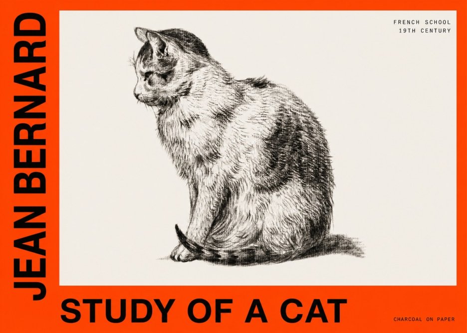 Jean Bernard Study of a Cat IV No6 - Plakát