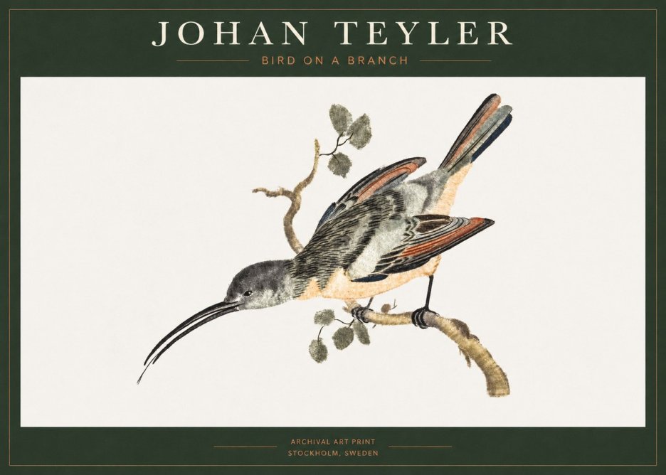 Johan Teyler Bird on a Branch No1 - Plakát