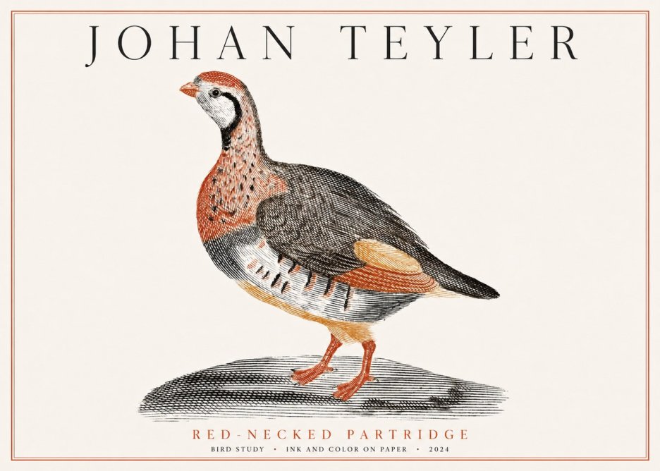 Johan Teyler Red-necked Partridge No1 - Plakát