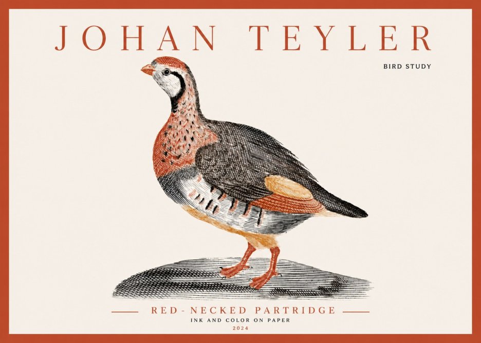 Johan Teyler Red-necked Partridge No3 - Plakát