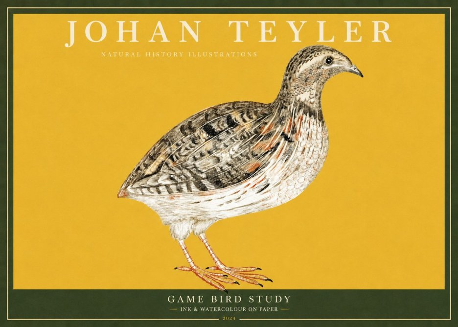 Johan Teyler Game Bird Study No2 - Plakát