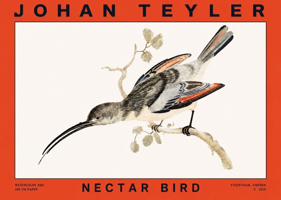 Johan Teyler Nectar Bird No2 - Plakát