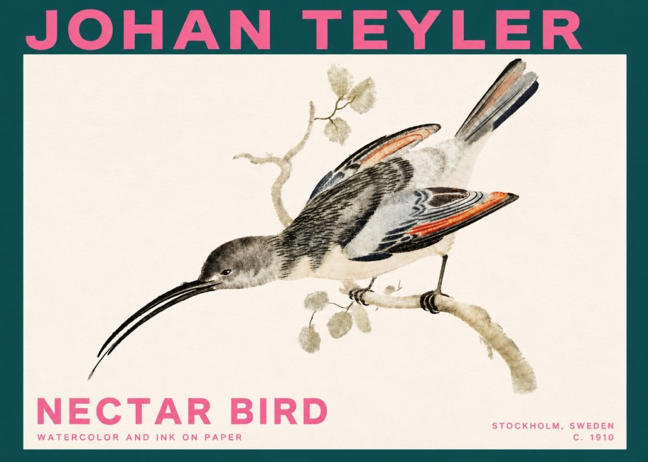 Johan Teyler Nectar Bird No3 - Plakát