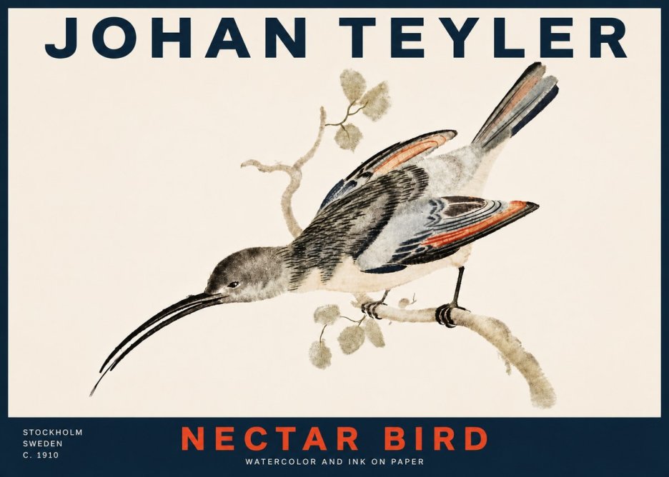 Johan Teyler Nectar Bird No4 - Plakát