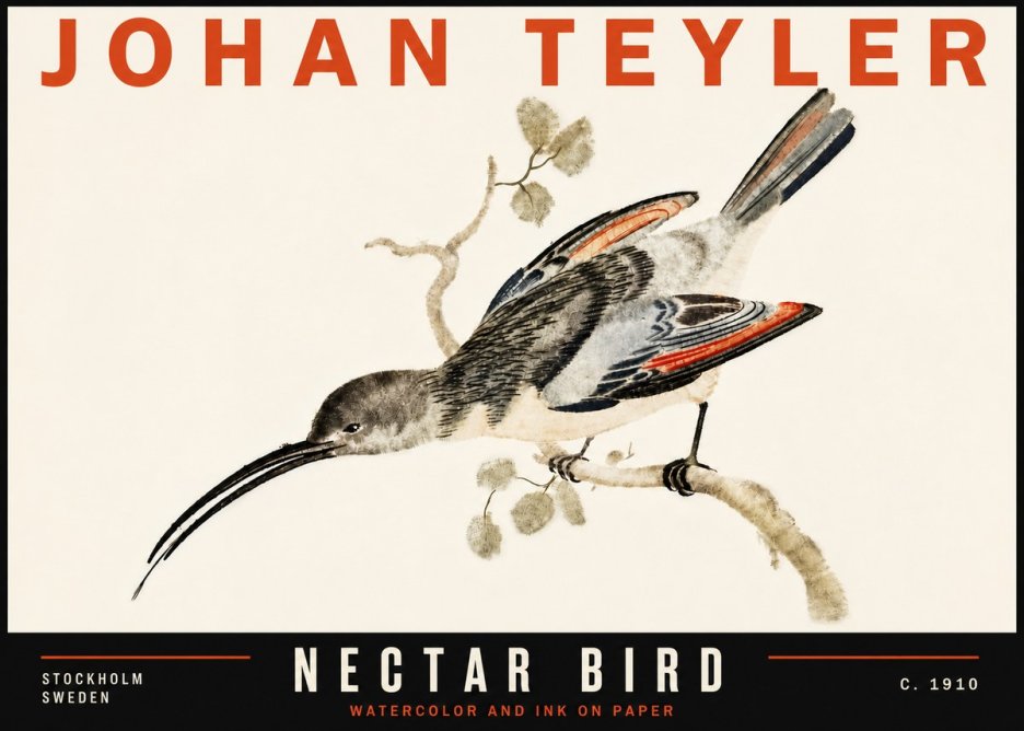 Johan Teyler Nectar Bird No6 - Plakát