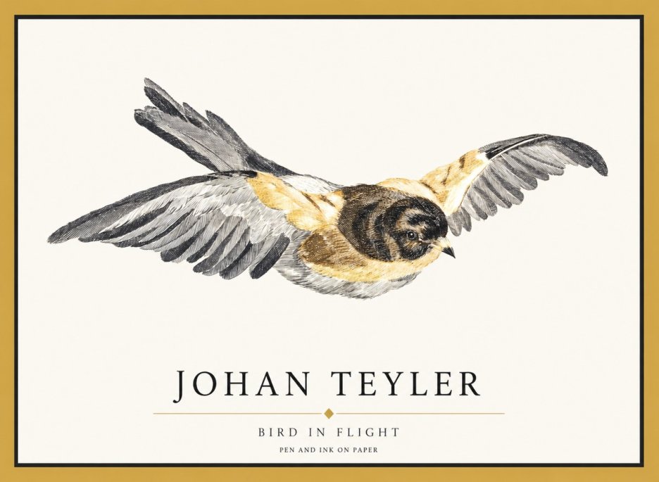 Johan Teyler Bird in Flight I No1 - Plakát