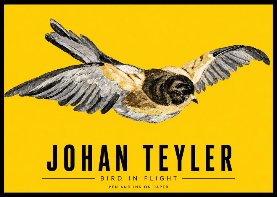 Johan Teyler Bird in Flight I No3 - Plakát