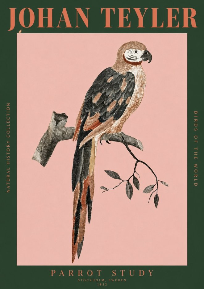 Johan Teyler Parrot Study I No2 - Plakát