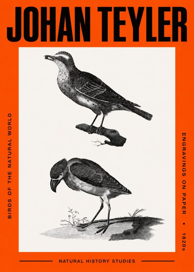 Johan Teyler Birds of the Natural World No2 - Plakát