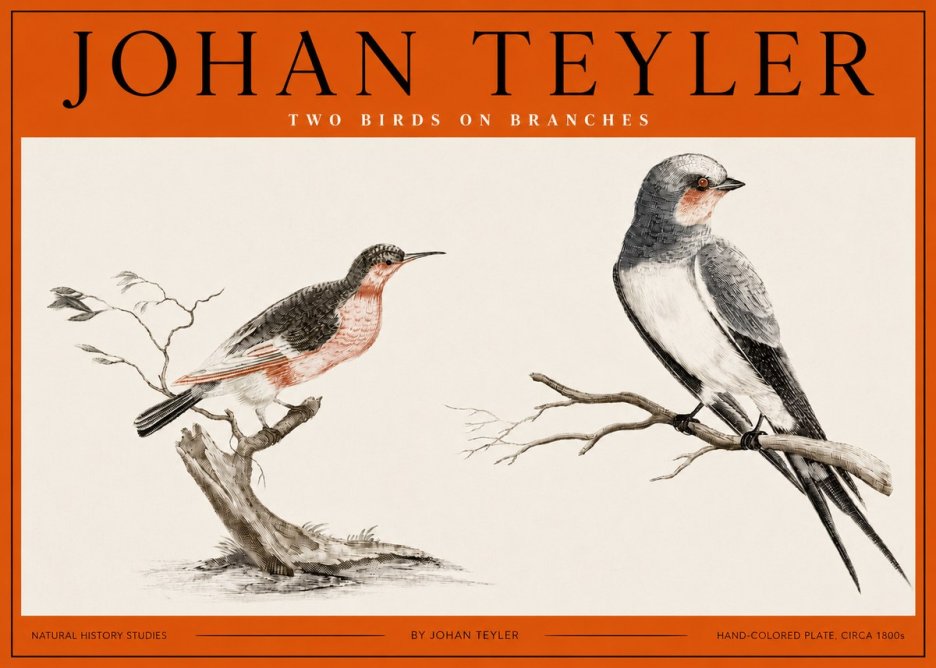 Johan Teyler Two Birds on Branches No2 - Plakát