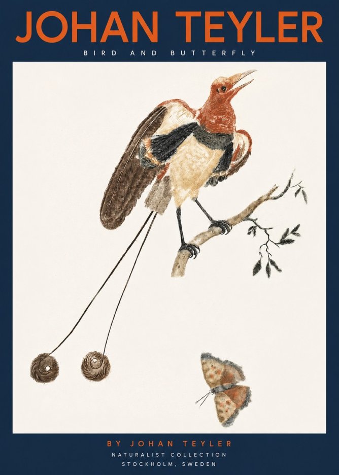 Johan Teyler Bird and Butterfly No2 - Plakát