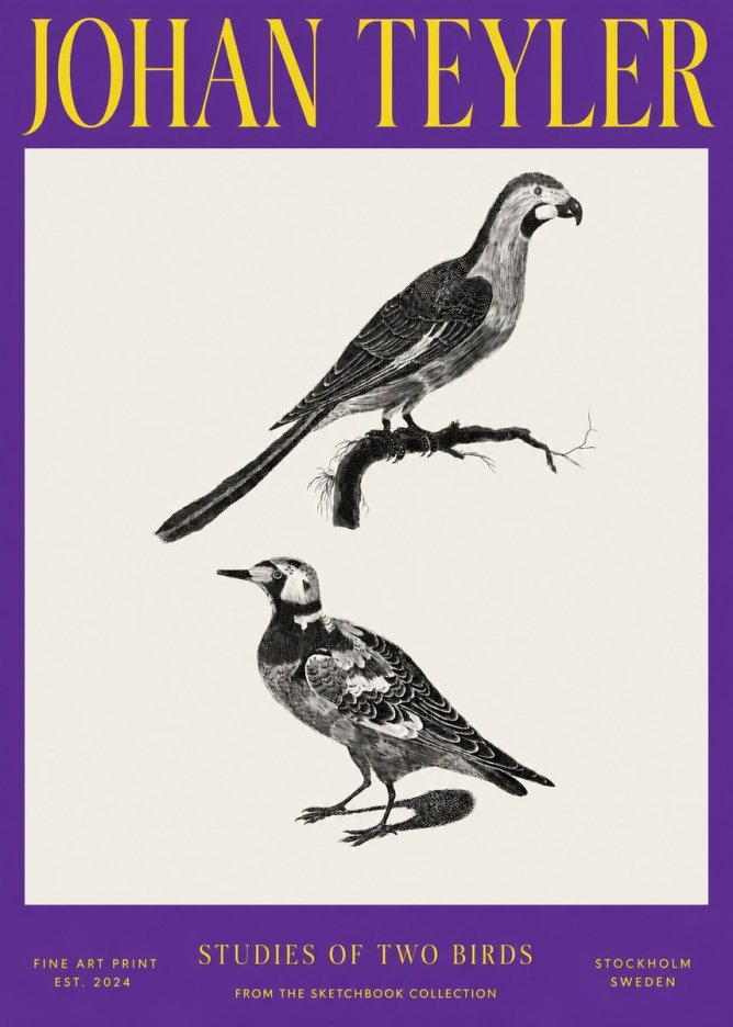 Johan Teyler Birds - Study of Two Species No4 - Plakát