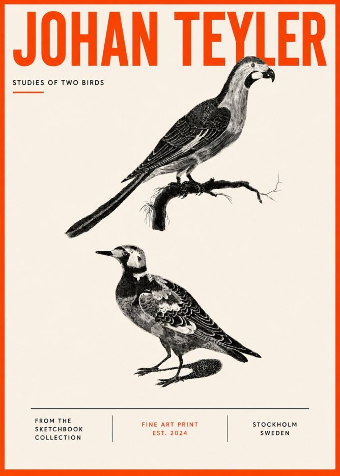 Johan Teyler Birds - Study of Two Species No5 - Plakát
