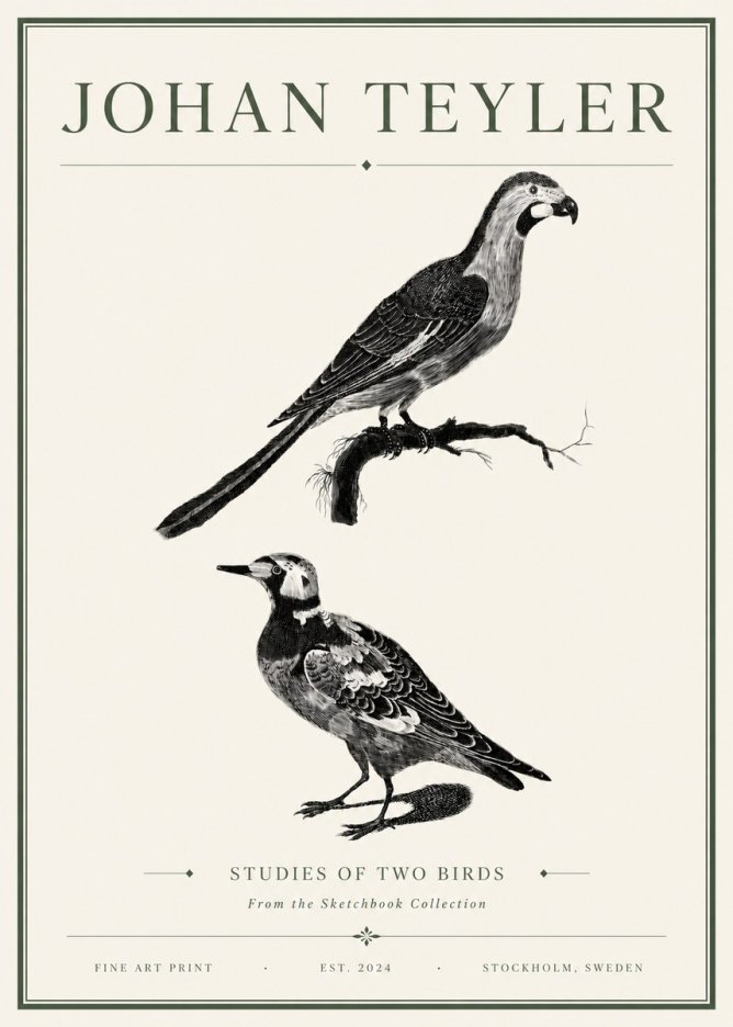 Johan Teyler Birds - Study of Two Species No6 - Plakát
