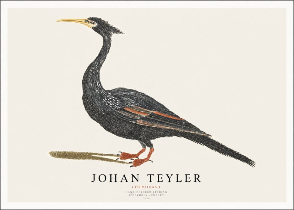 Johan Teyler Cormorant No1 - Plakát
