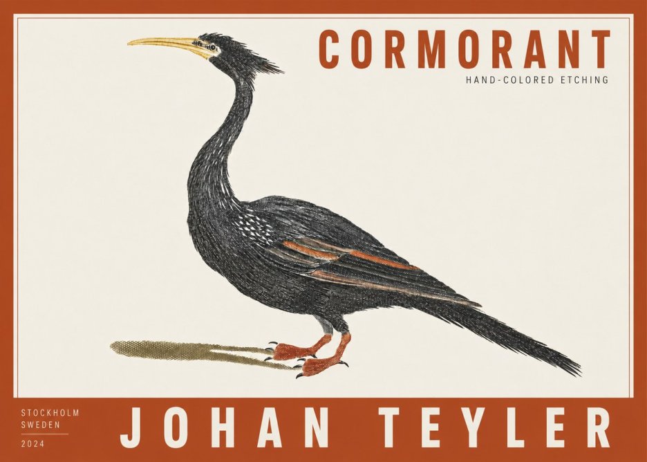 Johan Teyler Cormorant No2 - Plakát