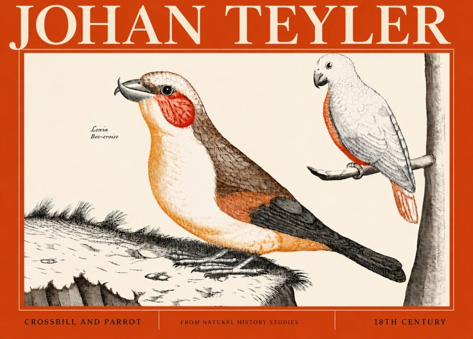 Johan Teyler Crossbill and Parrot No4 - Plakát