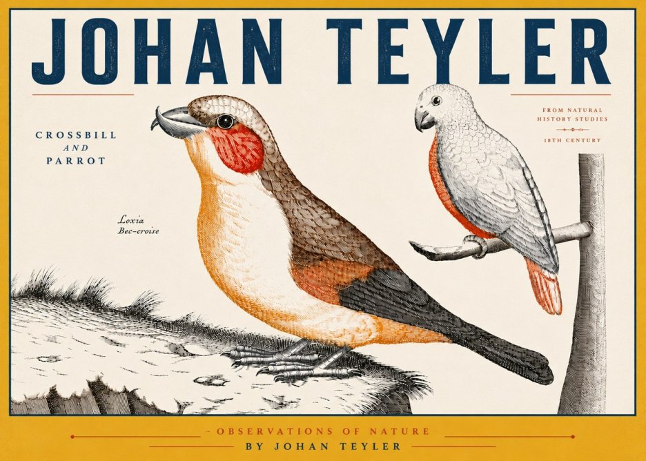 Johan Teyler Crossbill and Parrot No6 - Plakát