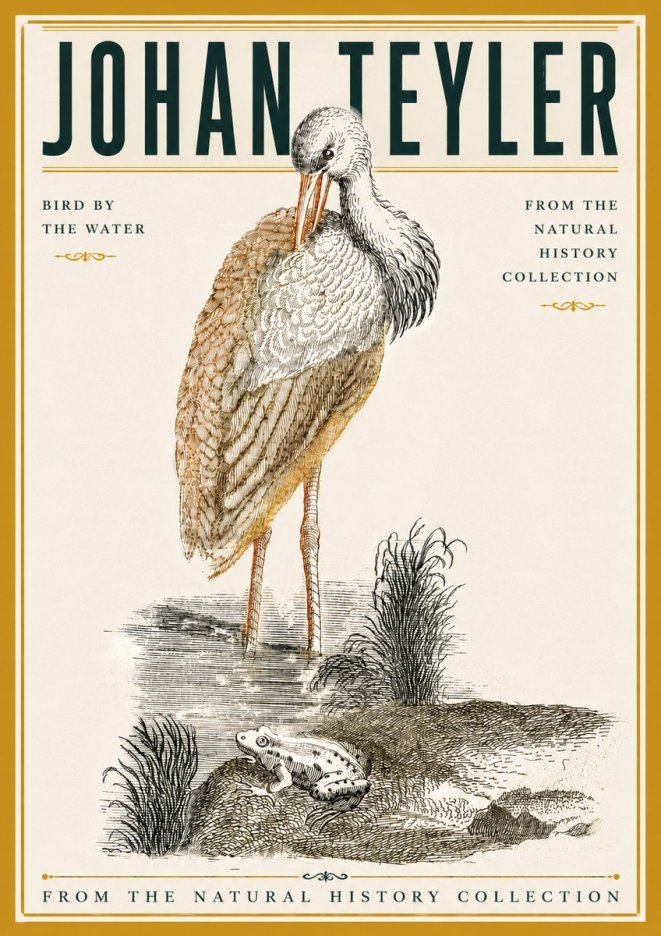 Johan Teyler Bird by the Water No6 - Plakát
