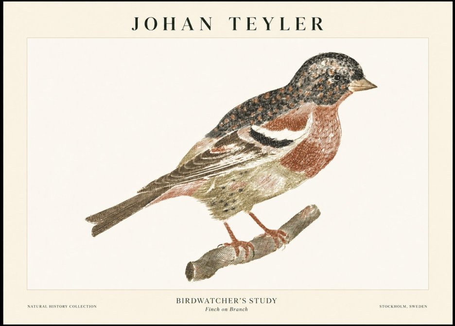 Johan Teyler Finch on Branch No1 - Plakát