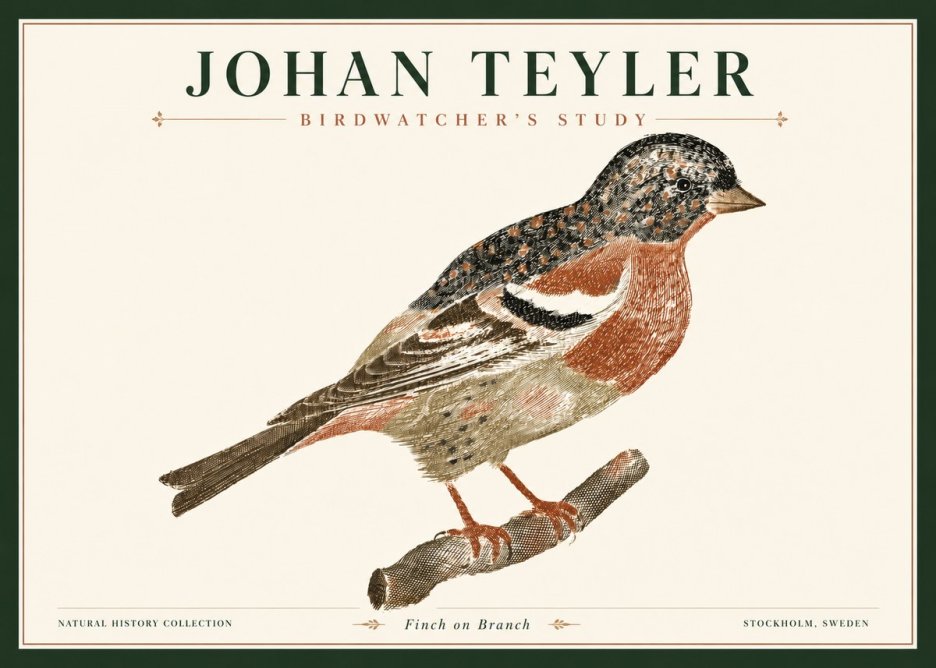 Johan Teyler Finch on Branch No4 - Plakát