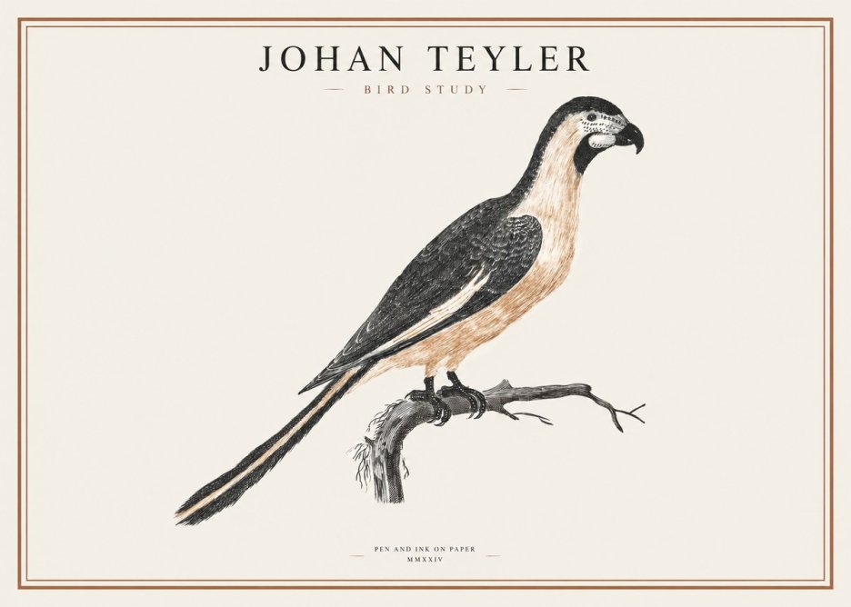 Johan Teyler Bird Study I No1 - Plakát