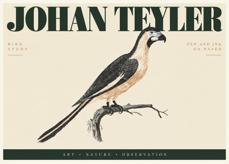 Johan Teyler Bird Study I No2 - Plakát