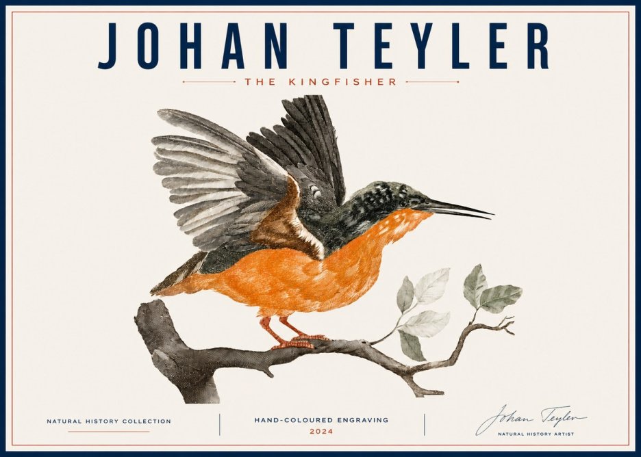 Johan Teyler Kingfisher No6 - Plakát
