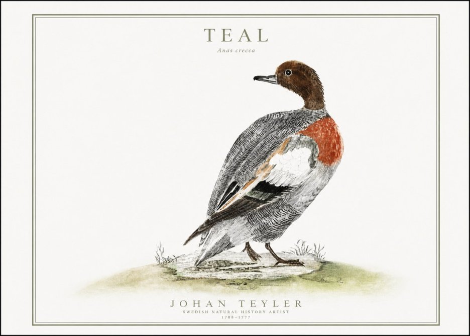 Johan Teyler Teal No1 - Plakát