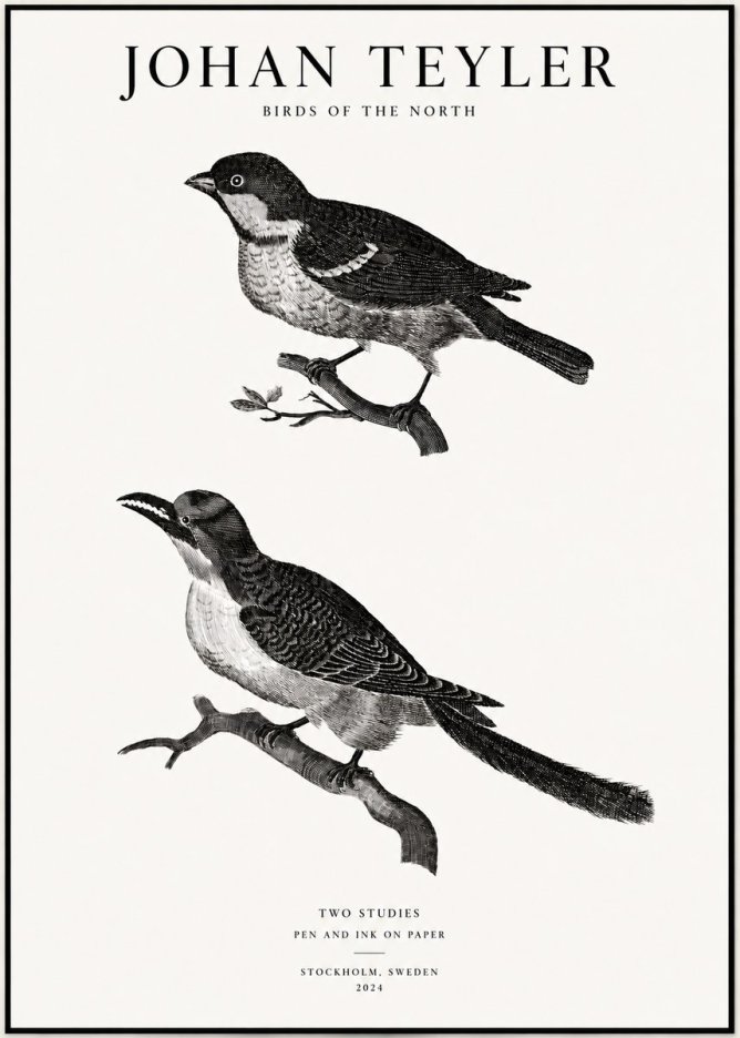 Johan Teyler Two Studies No1 - Plakát