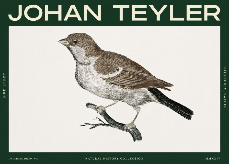 Johan Teyler Bird Study II No2 - Plakát