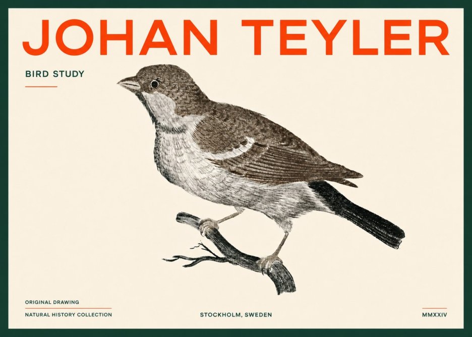Johan Teyler Bird Study II No5 - Plakát
