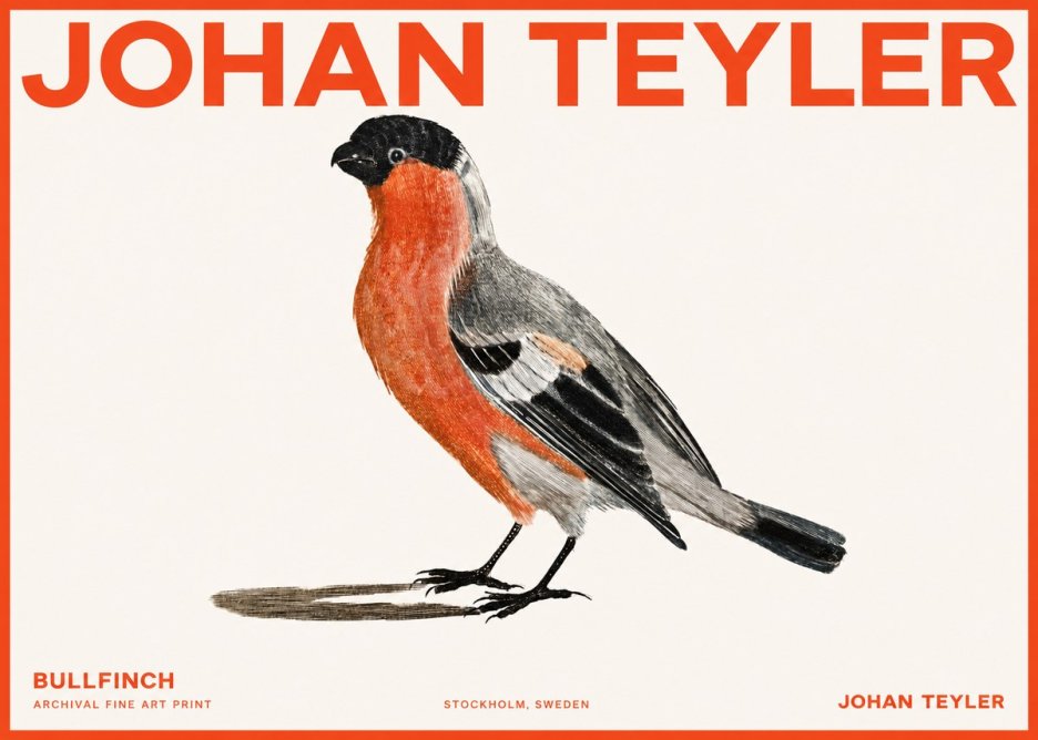 Johan Teyler Bullfinch No2 - Plakát