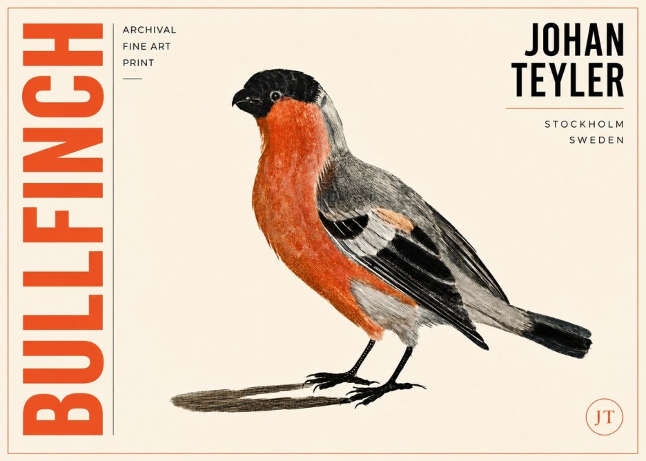 Johan Teyler Bullfinch No3 - Plakát