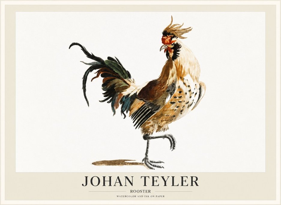 Johan Teyler Rooster No1 - Plakát