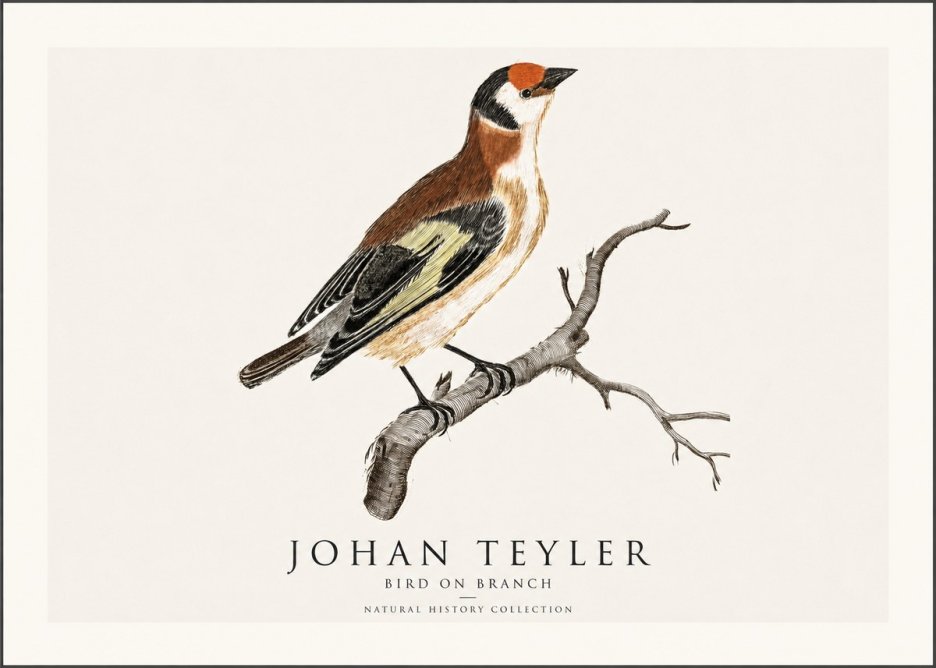 Johan Teyler Song of the Finch No2 - Plakát