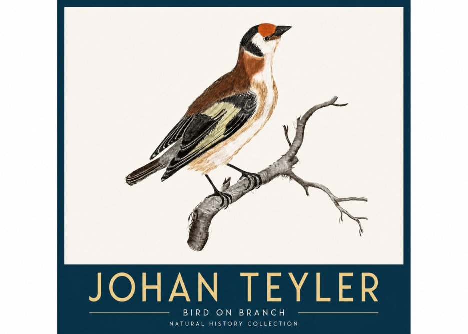 Johan Teyler Song of the Finch No4 - Plakát