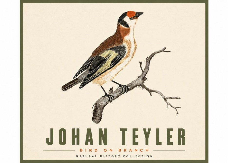Johan Teyler Song of the Finch No5 - Plakát