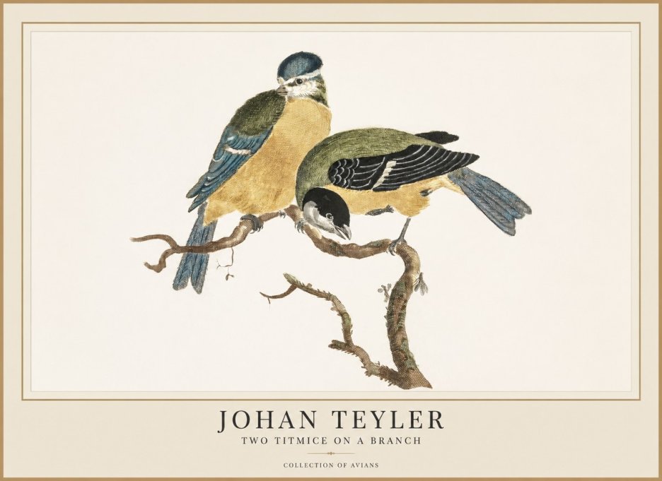 Johan Teyler Two Titmice on a Branch No1 - Plakát