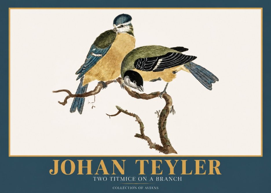 Johan Teyler Two Titmice on a Branch No2 - Plakát