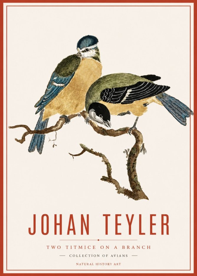Johan Teyler Two Titmice on a Branch No6 - Plakát