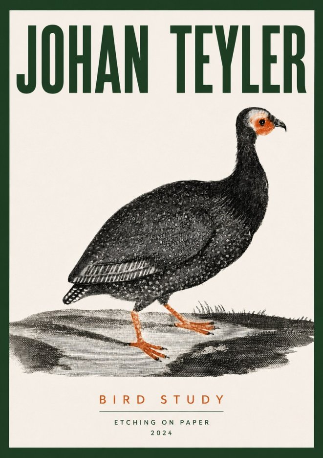 Johan Teyler Bird Study III No3 - Plakát