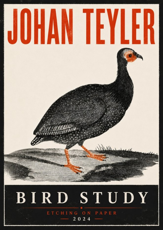 Johan Teyler Bird Study III No6 - Plakát
