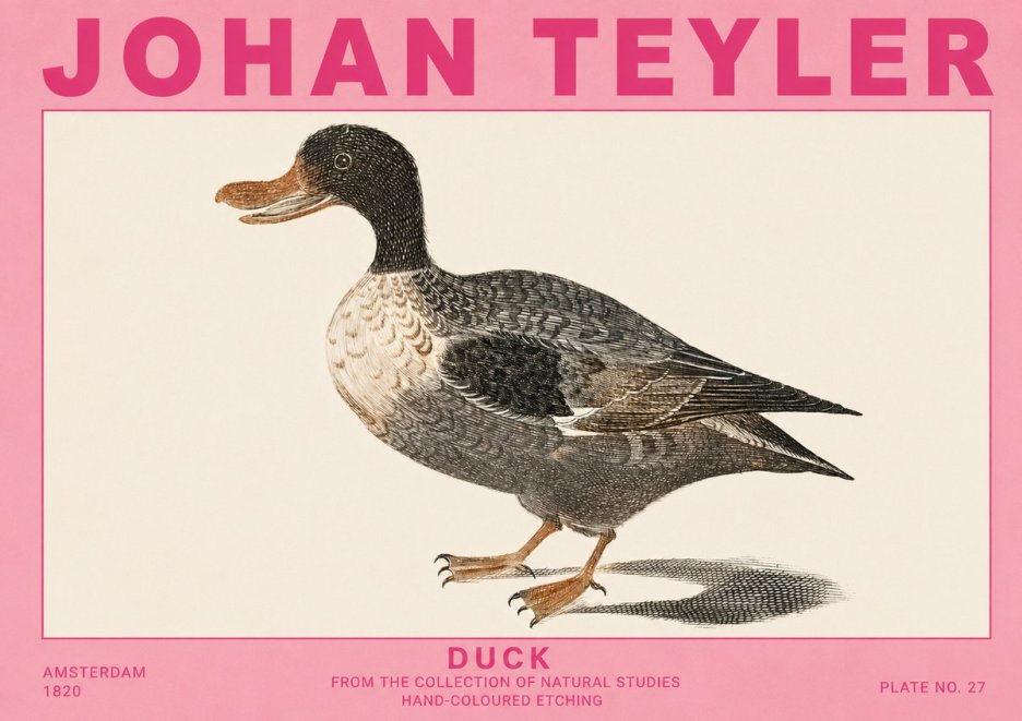 Johan Teyler Duck I No5 - Plakát