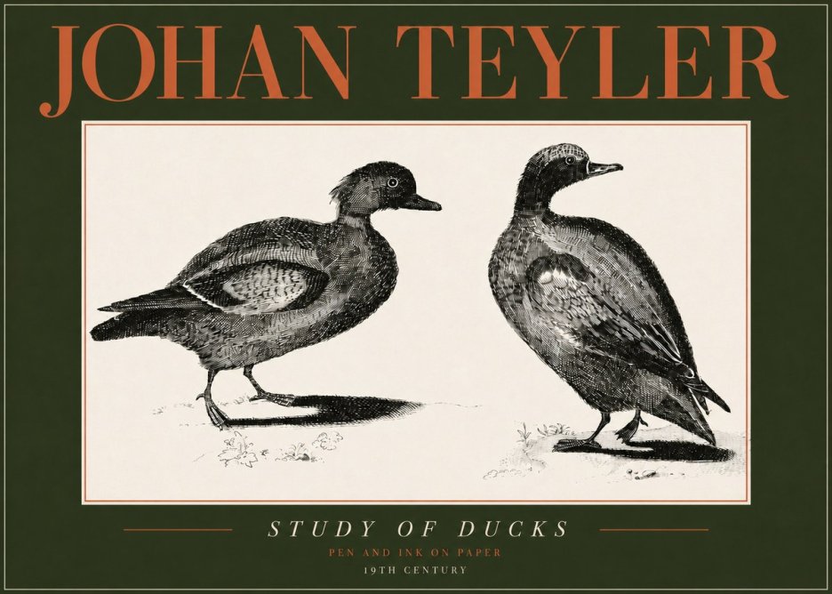 Johan Teyler Study of Ducks No4 - Plakát