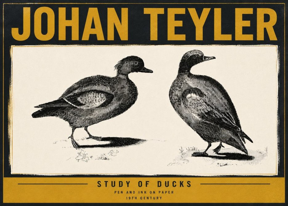 Johan Teyler Study of Ducks No6 - Plakát