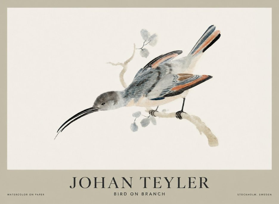 Johan Teyler Bird on Branch I No1 - Plakát