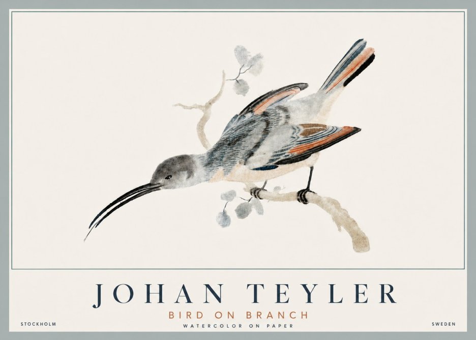Johan Teyler Bird on Branch I No6 - Plakát